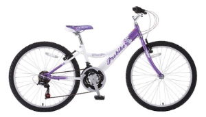 Probike Melody 24" Wheel